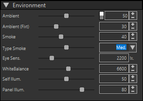 Environment section (expanded)